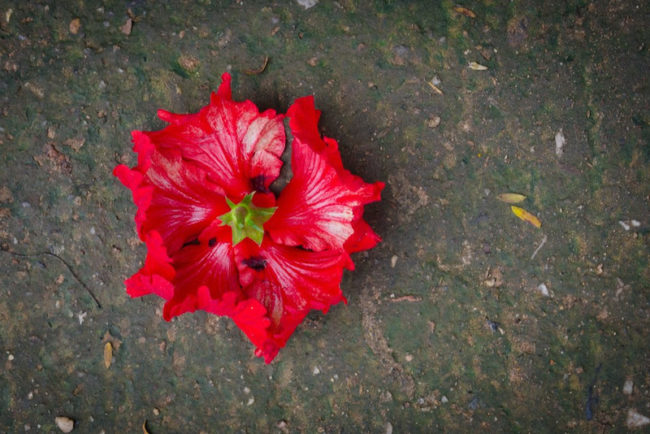 Loom-PrayerGuide-Day26