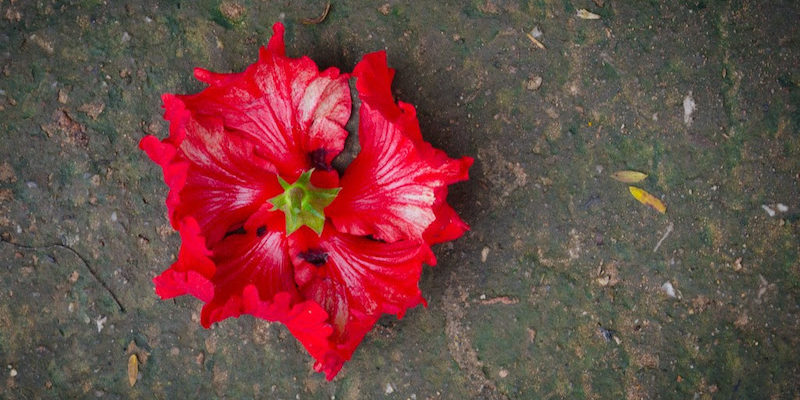 Loom-PrayerGuide-Day26