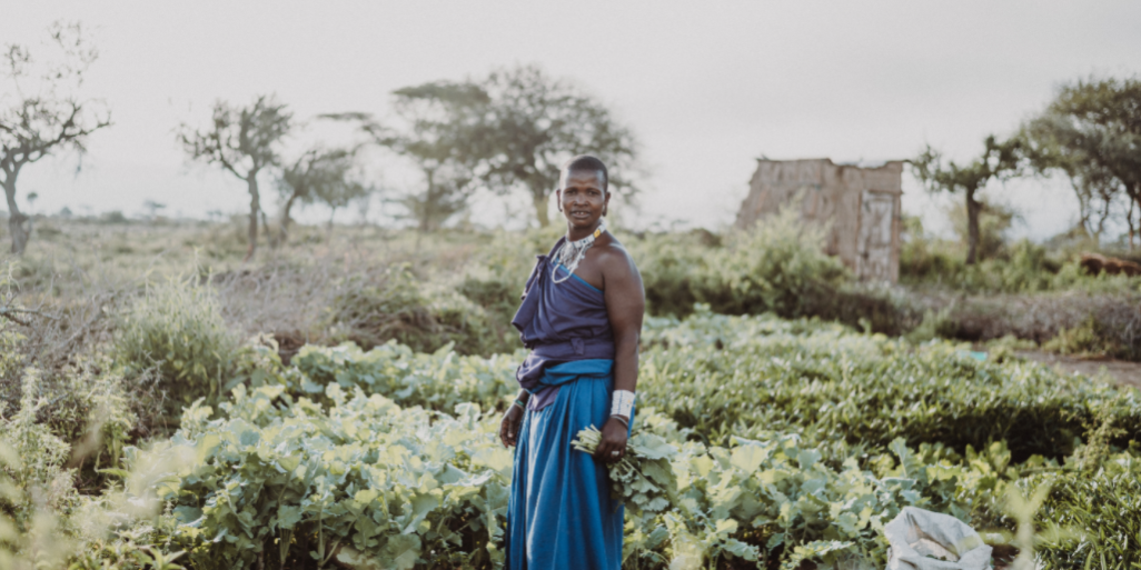 Screenshot 2020-08-07 at 11.07.36 AM