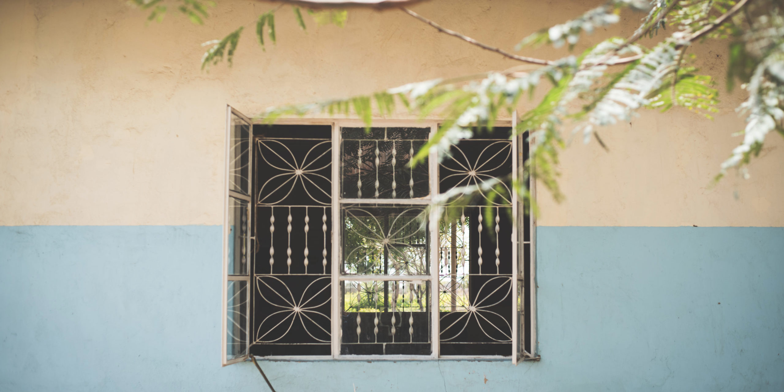 25B80018-DC37-48FA-A241-FAB58218DE23