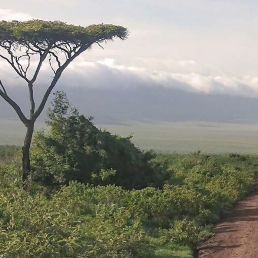 9E2BE20E-0D7C-47AE-9954-DFABA7C71512 9E2BE20E-0D7C-47AE-9954-DFABA7C71512